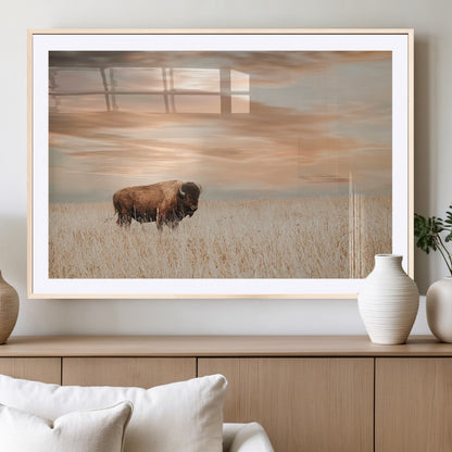 99699-MGC-FP-36x24_Natural-Bison in Prairie at Sunset – Wildlife Photography Print, American Buffalo Wall Art, Nature Landscape Canvas Decor for Office