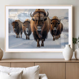 56701-MGV-CV-36X24-Bison Herd Wall Art – Buffalo Walking in Snowy Mountains Canvas Print, Rustic Wildlife Decor for Cabin, Lodge, or Living Room