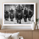 79872-MGV-CV-36X24-Bison Herd Wall Art – Black and White Buffalo on Snow Canvas Print, Rustic Wildlife Decor for Lodge, Cabin, or Living Room