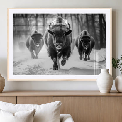 97552-MGC-FP-36x24_Natural-Black and White Bison Wall Art – Buffalo Herd Running in Snow Canvas Print, Rustic Wildlife Photography Decor for Cabin, Lodge, or