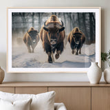 56549-MGC-FP-36x24_Natural-Wild Bison Wall Art – Majestic Buffalo Herd Running in Snow Canvas Print, Rustic Wildlife Photography Decor for Cabin, Lodge, or