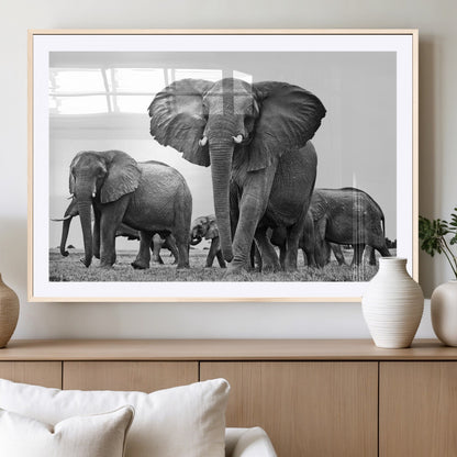 91685-MGV-CV-36X24-Elephant Herd Wall Art – Black and White Safari Canvas Print, African Wildlife Photography Decor for Living Room, Office or