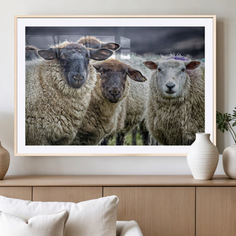 18418-MGV-CV-36X24-Sheep Wall Art Canvas Print, Framed Farmhouse Sheep Art Picture Print, Sheep Herd Perfect Rustic Farmhouse Decor Artwork
