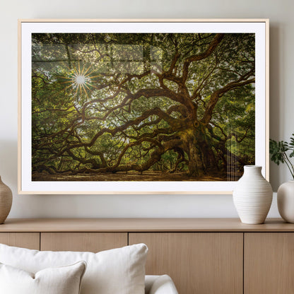 57983-MGV-CV-36X24-Angel Oak Tree Wall Art Canvas Print, Framed Oak Tree Art Picture Print, Angel Oak Perfect Rustic Nature Decor Artwork