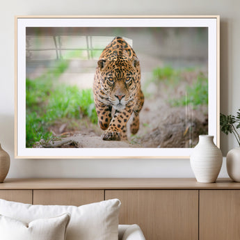 75066-MGC-FP-36x24_Natural-Leopard Wall Art Canvas Print, Framed Wild Animal Art Picture Print, Blue Eye Leopard Perfect Wild Minimal Decor Artwork