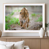 75066-MGV-CV-36X24-Leopard Wall Art Canvas Print, Framed Wild Animal Art Picture Print, Blue Eye Leopard Perfect Wild Minimal Decor Artwork