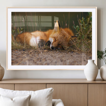 25085-MGC-FP-36x24_Natural-Sleeping Fox Wall Art Canvas Print, Framed Rustic Fox Art Picture Print, Wildlife Animal Perfect Rustic Farmhouse Decor Artwork