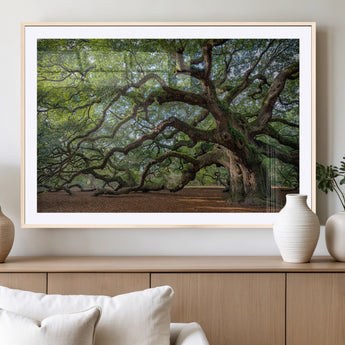 MGC-FP-36x24 - Historic Tree Wall Art Canvas Print, Framed Mossy Tree Art Picture Print, Twisted Branches Perfect Nature Southern Decor Artwork