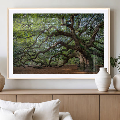 MGC-FP-36x24 - Historic Tree Wall Art Canvas Print, Framed Mossy Tree Art Picture Print, Twisted Branches Perfect Nature Southern Decor Artwork