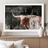 54027638-MGC-FP-36x24_Natural-Texas Longhorn Wall Art Canvas Print, Framed Spotted Cow Art Picture Print, Horned Bull Perfect Rustic Western Decor Artwork