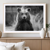 MGC-FP-36x24 - Grizzly Bear Wall Art Canvas Print, Framed Black White Bear Art Picture Print, Wild Bear Perfect Rustic Wildlife Decor Artwork