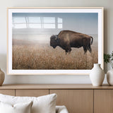 91267849-MGC-FP-36x24_Natural-Wild Bison Wall Art Canvas Print, Framed Bison in Prairie Art Picture Print, Rustic Western Perfect Rustic Western Decor Artwork