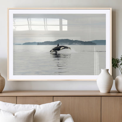 10157174-MGC-FP-36x24_Natural-Orca Whale Wall Art Canvas Print, Framed Black White Whale Art Picture Print, Minimalist Ocean Perfect Coastal Minimalist Decor