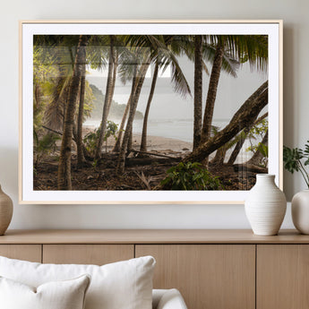 92093951-MGC-FP-36x24_Natural-Tropical Jungle Wall Art Canvas Print, Framed Palm Tree Forest Art Picture Print, Coastal Escape Perfect Jungle Retreat Decor