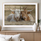53388593-MGV-CV-36X24-Cow Photography Wall Art Canvas Print, Framed Rustic Animal Decor Art Picture Print, Texas Cow Pair Perfect Western Farmhouse