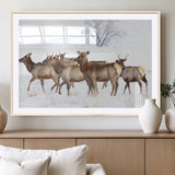 68738684-MGV-CV-36X24-Winter Elk Scene Wall Art Canvas Print, Framed Wildlife Photography Art Picture Print, Snowy Deer Decor Perfect Rustic Lodge Decor