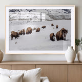 13891210-MGV-CV-36X24-Bison Herd Scene Wall Art Canvas Print, Framed Western Wildlife Decor Art Picture Print, Snowy Mountain Valley Perfect Rustic