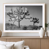 93692513-MGC-FP-36x24_Natural-Joshua Tree Wall Art Canvas Print, Framed Monochrome Desert Art Picture Print, Minimalist Nature Scene Perfect Southwestern