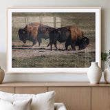 58141885-MGC-FP-36x24_Natural-Bison Photography Wall Art Canvas Print, Framed Western Wildlife Art Picture Print, Modern Ranch Perfect Western Rustic Decor