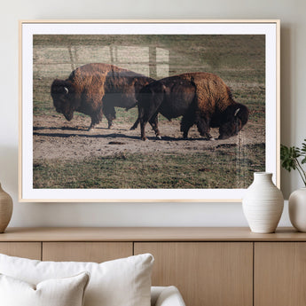 58141885-MGC-FP-36x24_Natural-Bison Photography Wall Art Canvas Print, Framed Western Wildlife Art Picture Print, Modern Ranch Perfect Western Rustic Decor
