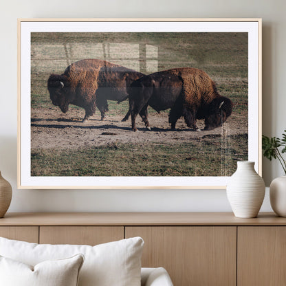 58141885-MGC-FP-36x24_Natural-Bison Photography Wall Art Canvas Print, Framed Western Wildlife Art Picture Print, Modern Ranch Perfect Western Rustic Decor