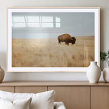 61392510-MGC-FP-36x24_Natural-Buffalo Wall Art Wall Art Canvas Print, Framed Western Wildlife Decor Art Picture Print, Rustic Farmhouse Art Perfect Rustic