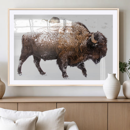 94261165-MGC-FP-36x24_Natural-Snowy Buffalo Wall Art Canvas Print, Framed Wildlife Photography Art Picture Print, Brown Tones Perfect Rustic Lodge Decor Decor