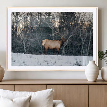 36533178-MGC-FP-36x24_Natural-Wild Elk Photography Wall Art Canvas Print, Framed Winter Wildlife Art Picture Print, Snowy Forest Perfect Rustic Lodge Decor