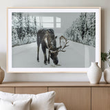 13316292-MGC-FP-36x24_Natural-Moose in Snow Wall Art Canvas Print, Framed Winter Wildlife Art Picture Print, Snowy Forest Scene Perfect Rustic Lodge Decor
