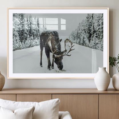 13316292-MGC-FP-36x24_Natural-Moose in Snow Wall Art Canvas Print, Framed Winter Wildlife Art Picture Print, Snowy Forest Scene Perfect Rustic Lodge Decor