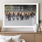 96906195-MGV-CV-36X24-Bison Herd Wall Art – American Buffalo Wildlife Photography Canvas Print, Winter Snow Scene Western Nature Decor for Living Room,