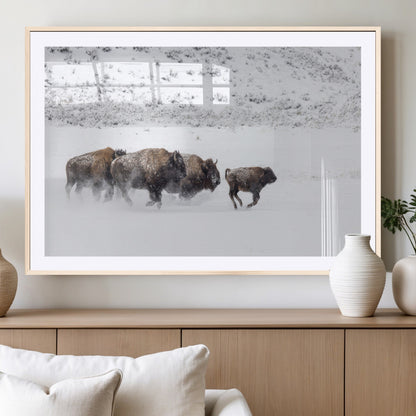 61161423-MGC-FP-36x24_Natural-Running Bison Herd Wall Art – Winter Buffalo Canvas Print, Wildlife Photography Decor for Rustic Living Room, Farmhouse, Lodge,