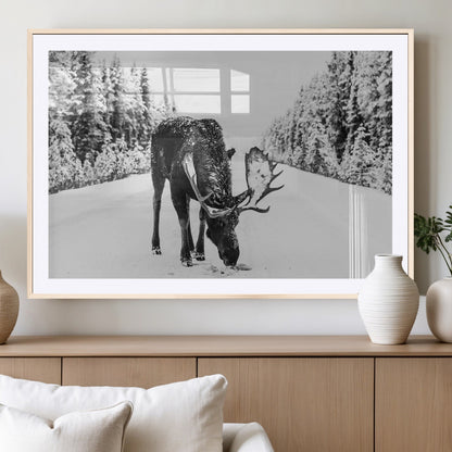 38956835-MGV-CV-36X24-Moose Winter Snowy Forest Canvas Wall Art – Wildlife Nature, Antlers in Frozen Landscape, Quiet Path, Cold Season Outdoors Print