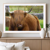 68411138-MGV-CV-36X24-Farmhouse Wall Art – Highland Cow Canvas Print, Rustic Country Cattle Photography Decor for Bedroom, Living Room, Office, Ranch,