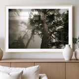 87969493-MGV-CV-36X24-Forest Wall Art – Misty Tall Trees Canvas Print, Dramatic Woodland Photography Decor for Bedroom, Living Room, Office, Cabin,