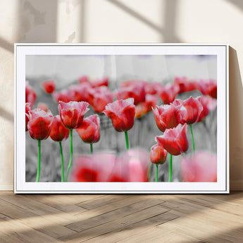 44554-MGC-FP-36x24_White-Vibrant red tulips stand out beautifully against a black-and-white background, making a striking decor piece perfect for any home