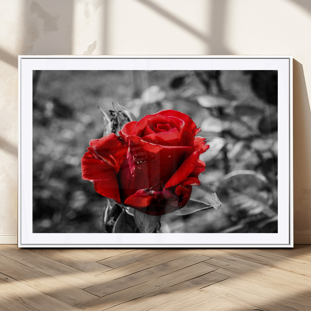 84671-MGC-FP-36x24_White-Red Rose Wall Art – Vibrant Single Bloom Canvas Print with Black and White Background, Elegant Floral Decor for Living Room,