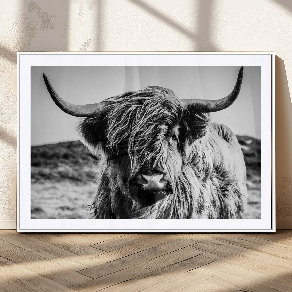 36979-MGC-FP-36x24_White-Striking black-and-white portrait of a Highland cow with flowing fur and majestic horns, perfect for rustic and elegant home or