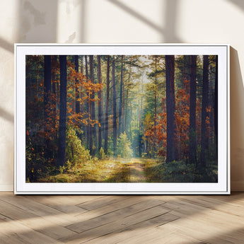 86249-MGC-FP-36x24_White-Sunlit Autumn Forest Path Wall Art – Peaceful Nature Scene with Fall Foliage, Calming Woods Decor for Home or Office