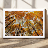 11823-MGV-CV-36X24-Golden Autumn Tree Canopy Wall Art – Stunning Fall Forest Leaves Print, Warm Seasonal Nature Decor for Home, Office or Cabin
