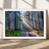42047-MGC-FP-36x24_White-Sunlit Forest Path Wall Art – Nature Canvas Print, Serene Woodland Landscape, Perfect Home & Office Decor for Calm and Tranquil