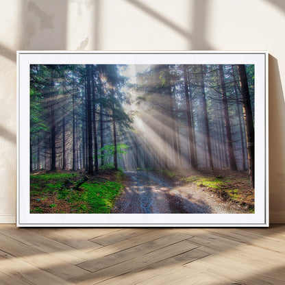 42047-MGC-FP-36x24_White-Sunlit Forest Path Wall Art – Nature Canvas Print, Serene Woodland Landscape, Perfect Home & Office Decor for Calm and Tranquil