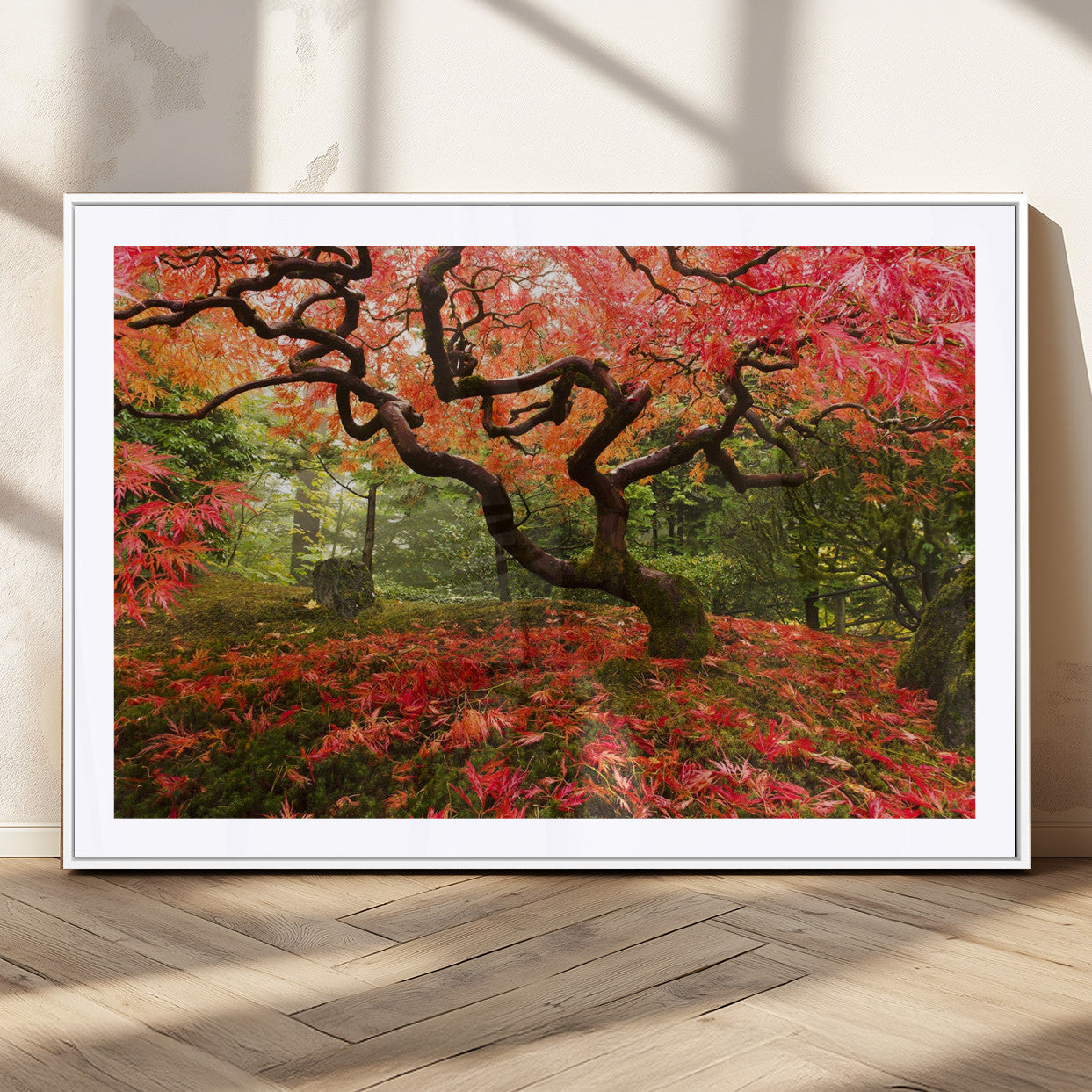 73343-MGC-FP-36x24_White-Autumn Maple Wall Art – Panoramic Vibrant Red Maple Tree Canvas Print, Seasonal Nature Decor for Office, Living Room or Garden