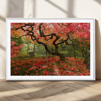 73343-MGC-FP-36x24_White-Autumn Maple Wall Art – Panoramic Vibrant Red Maple Tree Canvas Print, Seasonal Nature Decor for Office, Living Room or Garden