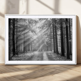 39665-MGC-FP-36x24_White-Black and White Forest Path Wall Art – Sunlight Rays in Trees Canvas Print, Nature Landscape Decor for Living Room or Office