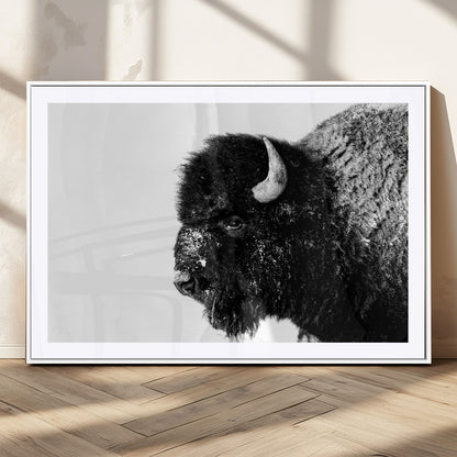 68780-MGV-CV-36X24-Bison Close-Up Wall Art – Black and White Buffalo Canvas Print, Rustic Wildlife Photography Decor for Living Room, Office, or