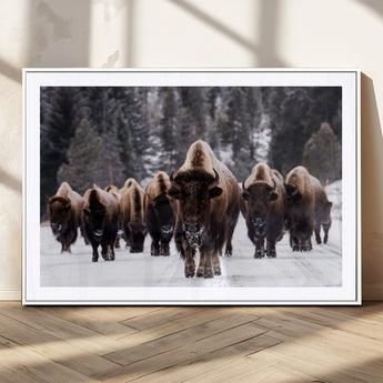 66871-MGV-CV-36X24-Bison Herd Wall Art – Wildlife Buffalo Canvas Print, Rustic Western Nature Photography Decor for Living Room, Office, Cabin, or