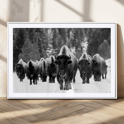 62434-MGC-FP-36x24_White-Bison Herd Wall Art – Majestic Black and White Buffalo Canvas Print, Wildlife Nature Photography Decor for Living Room, Office or