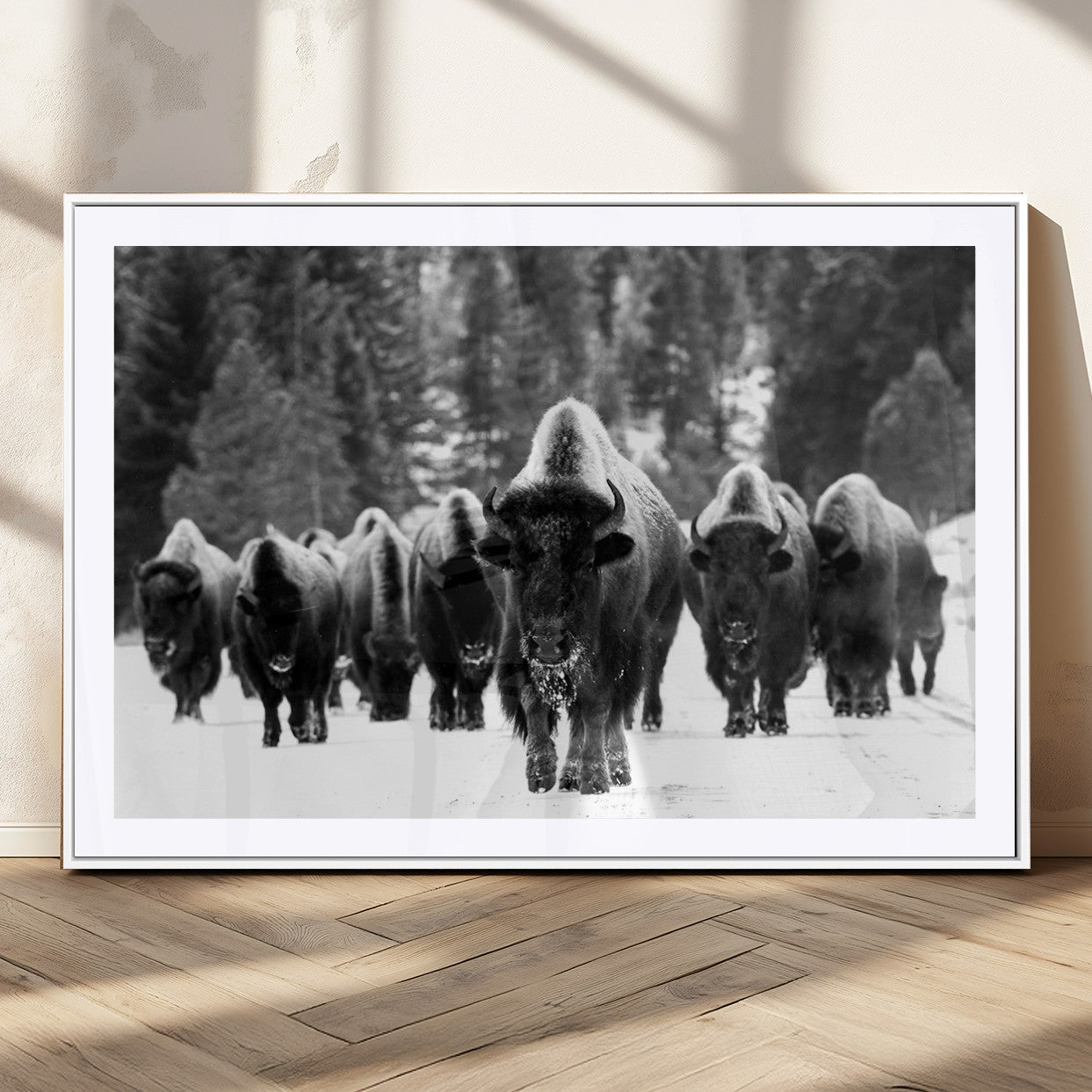 62434-MGC-FP-36x24_White-Bison Herd Wall Art – Majestic Black and White Buffalo Canvas Print, Wildlife Nature Photography Decor for Living Room, Office or