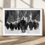 62434-MGC-FP-36x24_White-Bison Herd Wall Art – Majestic Black and White Buffalo Canvas Print, Wildlife Nature Photography Decor for Living Room, Office or